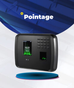 Pointage